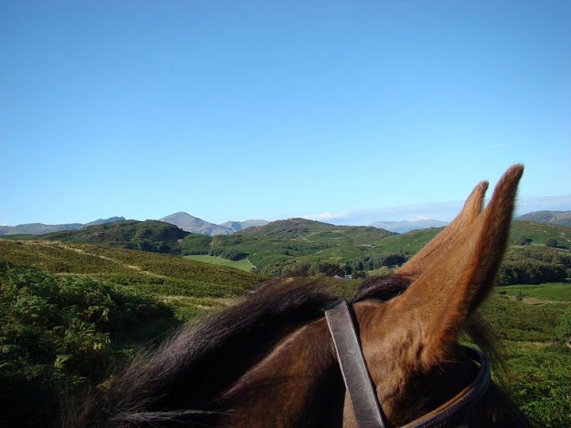 paisaje sobre el caballo